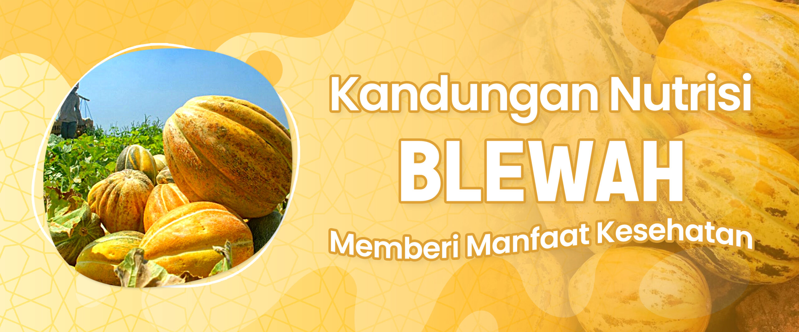 “Kandungan Nutrisi Blewah Memberi Manfaat Bagi Kesehatan”