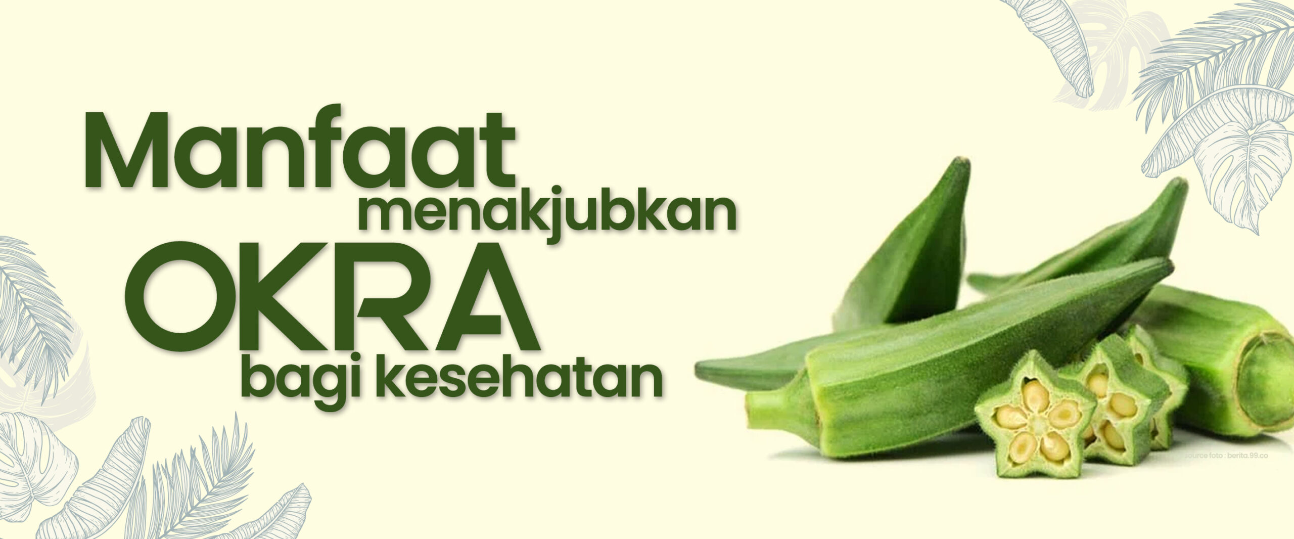 “Manfaat Menakjubkan Okra Bagi Kesehatan”