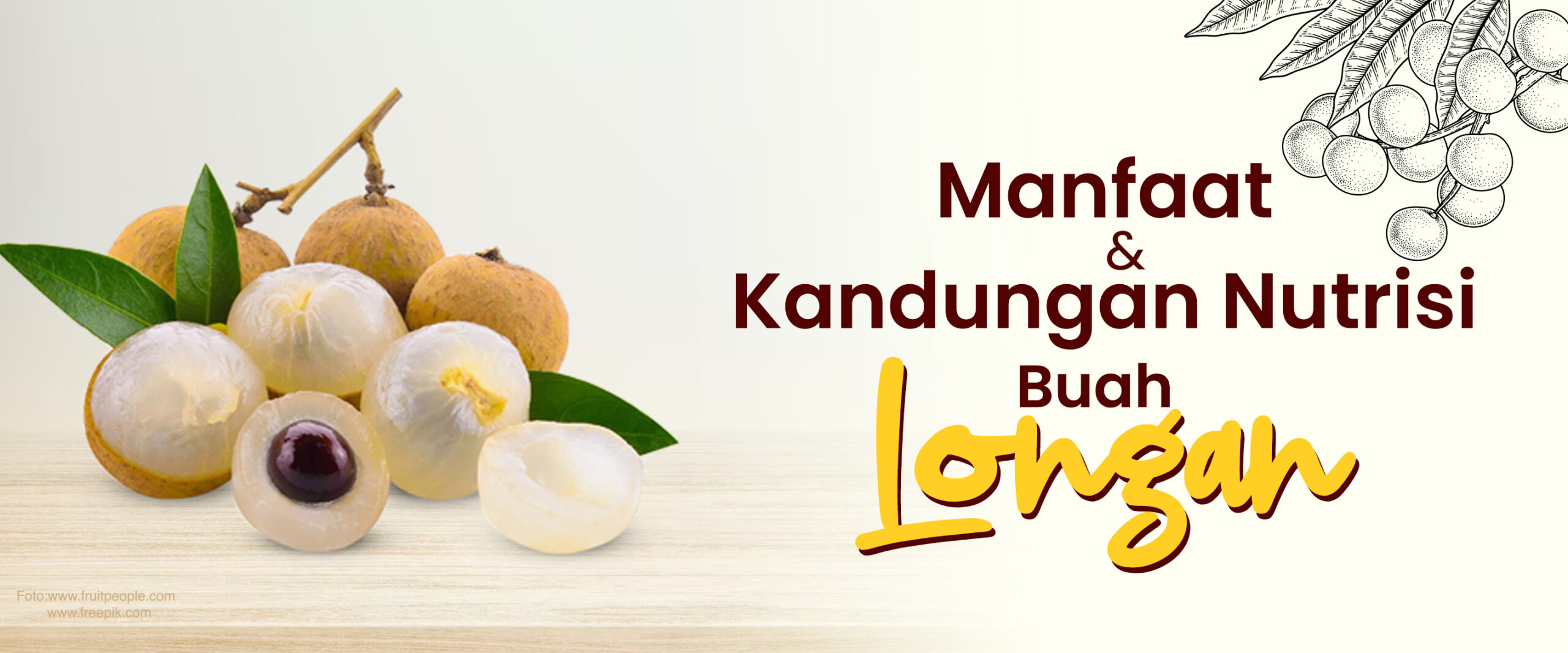 “Manfaat dan Kandungan Nutrisi Dalam Buah Longan”