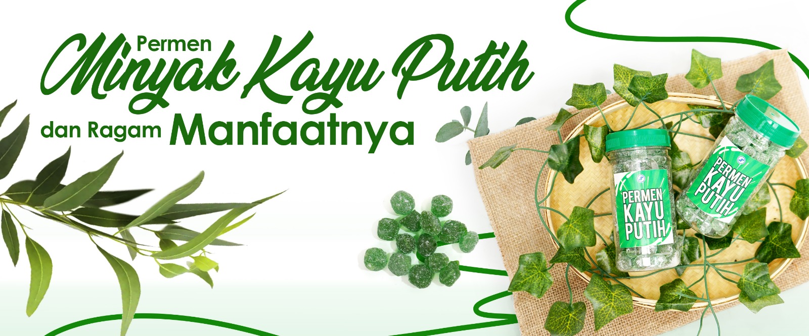 "Permen Minyak Kayu Putih dan Ragam Manfaatnya