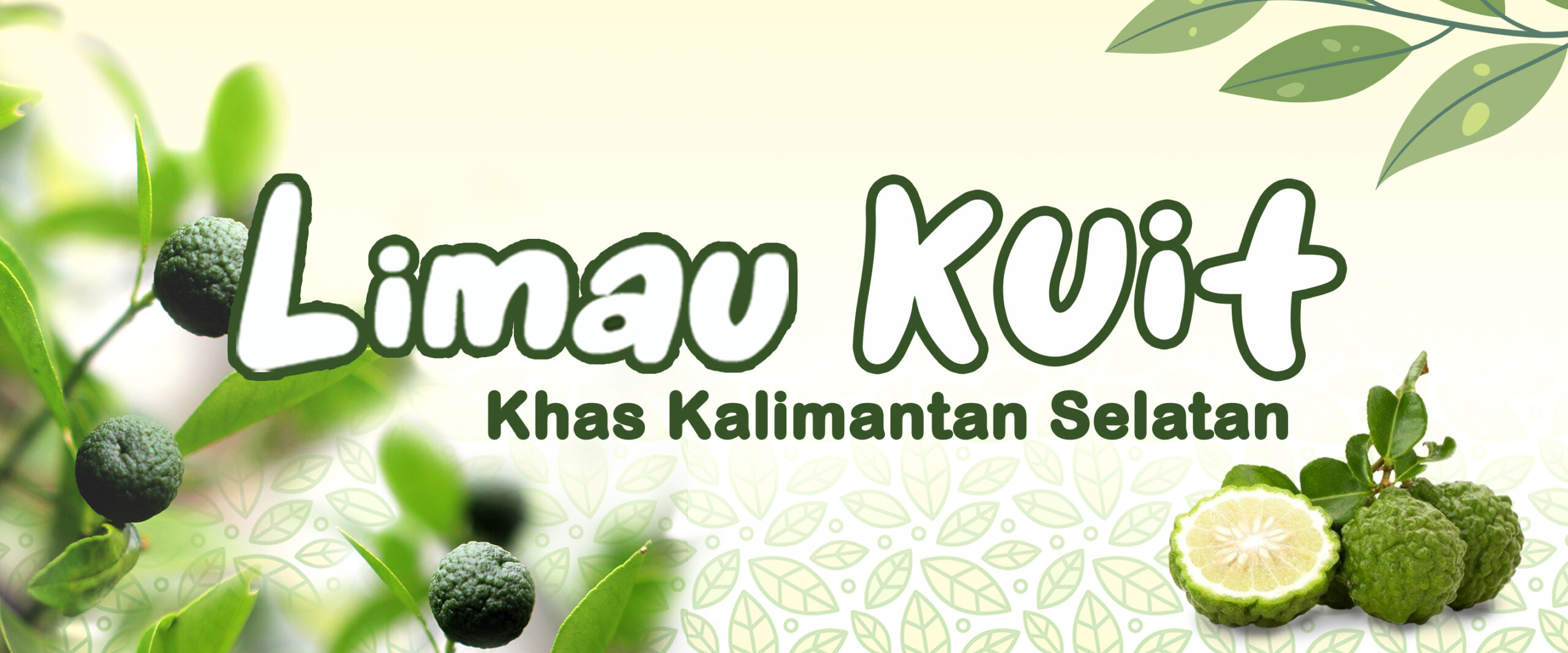 "Limau Kuit Khas Kalimantan Selatan（加里曼丹雪兰莪州）"