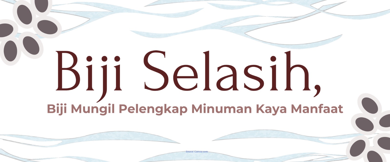 Biji Selasih, Biji Mungil Pelengkap Minuman Kaya Manfaat
